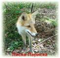 DSC03382.JPG