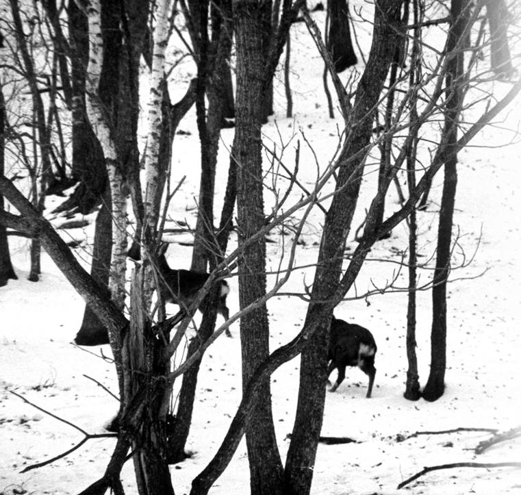 image003.jpg