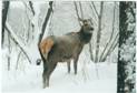 image025.jpg