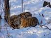 DSC07838.jpg