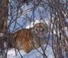 DSC04534.JPG