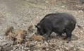 DSC01503.JPG