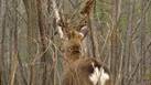 image019