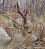image018