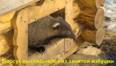 DSC04446.jpg