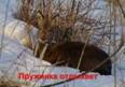 DSC042891.jpg