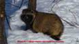 DSC042331.jpg