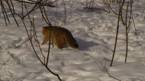 DSC03954.jpg