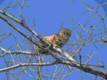 DSC04005.jpg