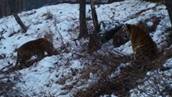 DSC06855.jpg