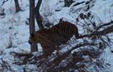 DSC06847.jpg