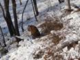 DSC07850.jpg