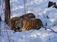 DSC07838.jpg