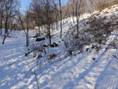 DSC07828.jpg