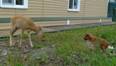 DSC06115.jpg