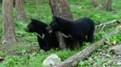 DSC05993.jpg