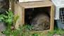 DSC05505.JPG