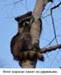 DSC01113.JPG