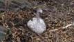 DSC05215.jpg